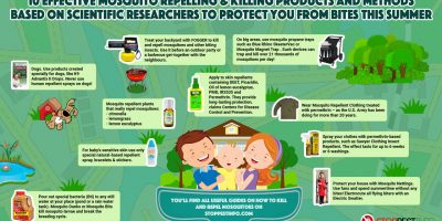 How to Get Rid of Mosquitoes {Infographic}