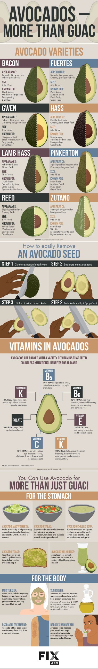 All-About-Avocados