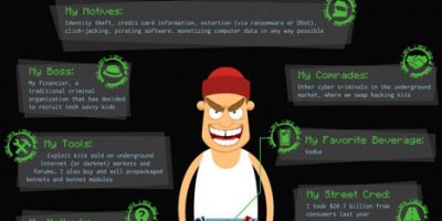 Hacker Profiles {Infographic}