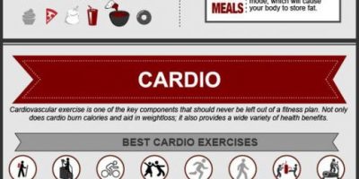 How to Maintain a Healthy Lifestyle {Infographic}