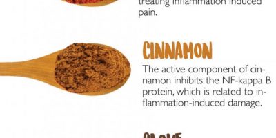 Herbs to Cure Inflammation {Infographic}