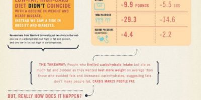Why Eating Fat Doesn’t Make You Fat {Infographic}