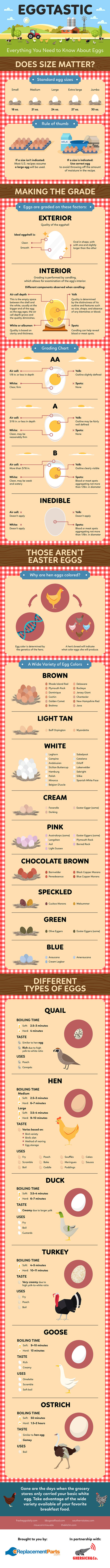 Complete-Guide-to-Eggs