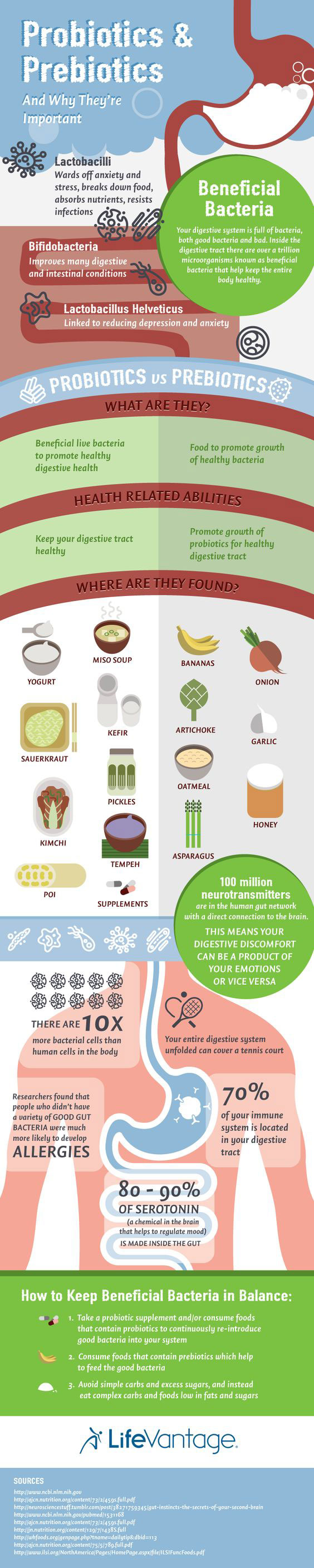 probiotics-prebiotics-infographic