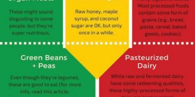 Paleo Diet Food List {Infographic}