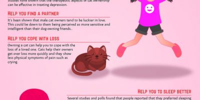 How Cats Improve Your Life {Infographic}