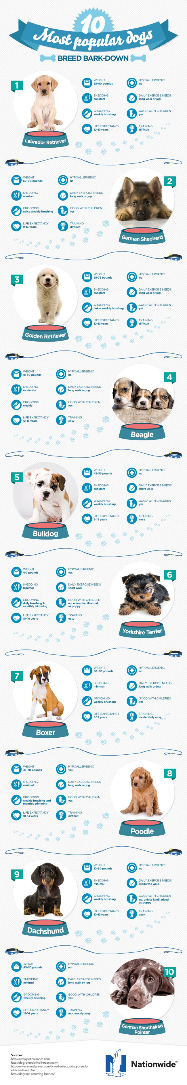 most-popular-dogs