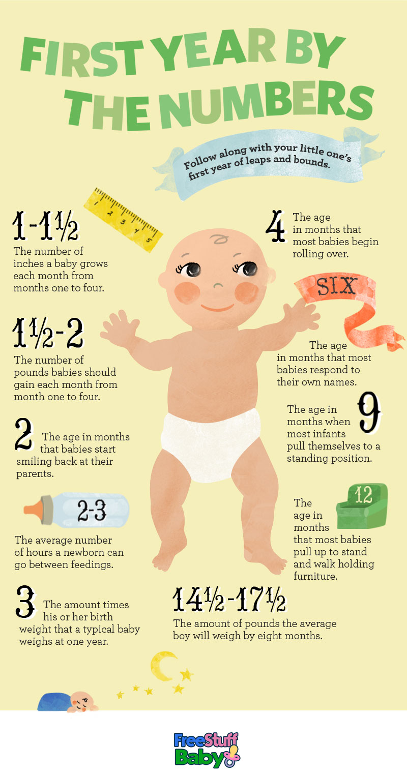 the-first-year-of-your-baby-by-numbers