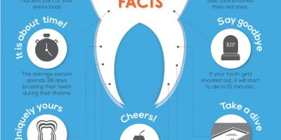 10 Facts About Your Teeth Infographic