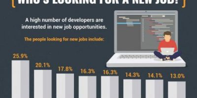 The Life of a Developer [Infographic]