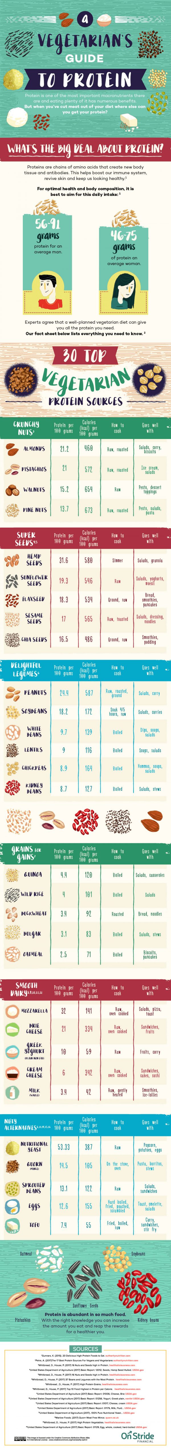 Vegetarian’s Guide to Protein [Infographic] - Best Infographics