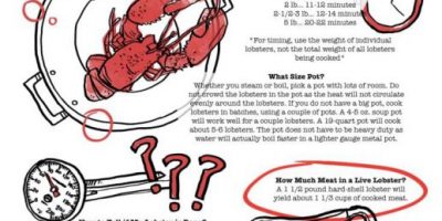Cooking Lobster: Tips & Times [Infographic]