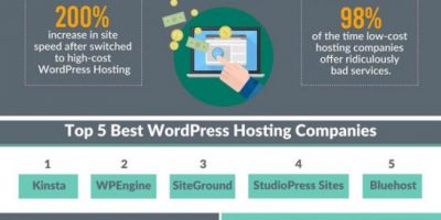 Best WordPress Hosting Providers Infographic