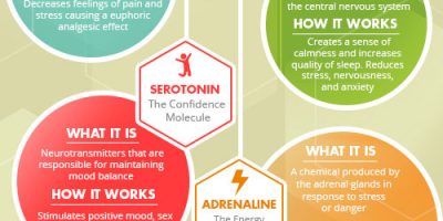 The Science Behind Happiness [Infographic]