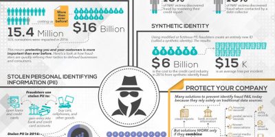 The Growing Cost of Identify Fraud [Infographic]