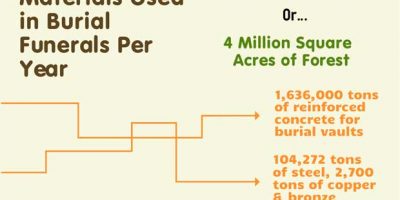 Environmental Impact of Burial Funerals [Infographic]