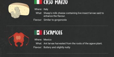 Fascinating Foods Across the World