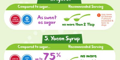 Natural Low Carb Sweeteners Compared