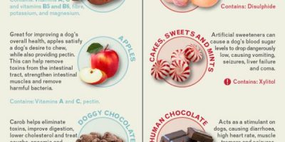 Treat vs. Poison for Dogs [Infographic]
