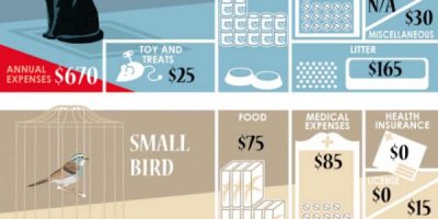 Cost of Owning a Pet [Infographic]