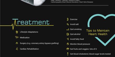 Demystifying Cardiovascular Diseases [Infographic]
