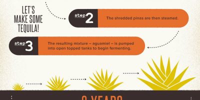 All About Tequila [Infographic]