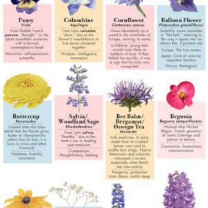 10 Flowers & Their Romantic Meanings - Best Infographics