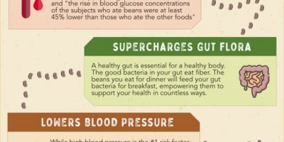 The Benefits of Fiber [Infographic]