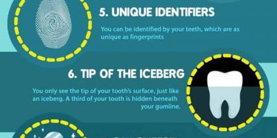10 Interesting Facts About Your Teeth [Infographic]