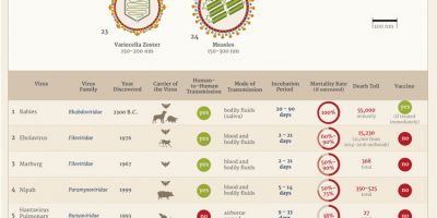 History of Deadliest Viruses [Infographic]