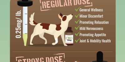 CBD Dosage Chart For Dogs & Cats [Infographic]