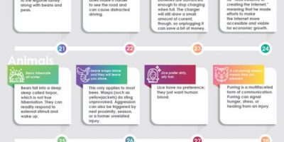50 Common Misconceptions Debunked