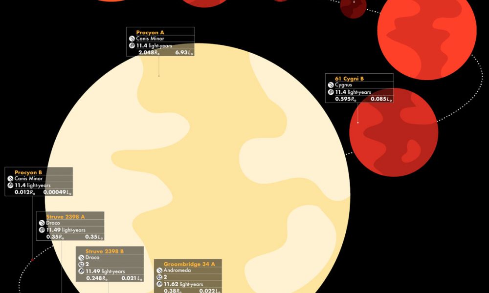 44 Closest Stars And How They Compare To Our Sun Best Infographics