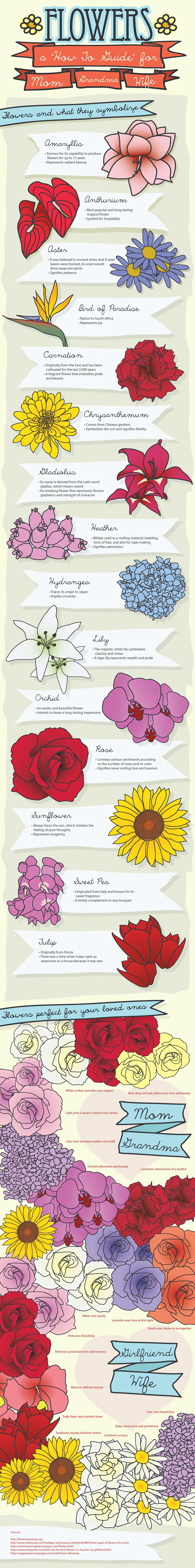 Choosing the Right Flower for the Right Occasion - Best Infographics