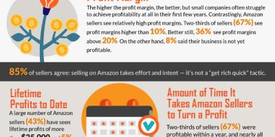 What It Takes to Sell on Amazon [Infographic]