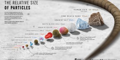 The Relative Size of Particles [Infographic]