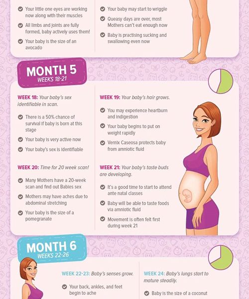 Week by Week Guide to Pregnancy Infographic - Best ...