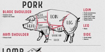 Guide To Different Cuts of Meat [Infographic]