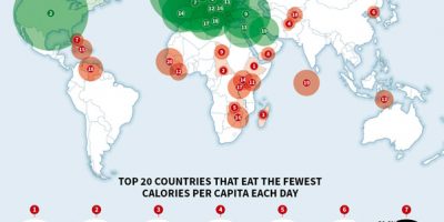 Countries that Eat the Most & Least Calories Per Day