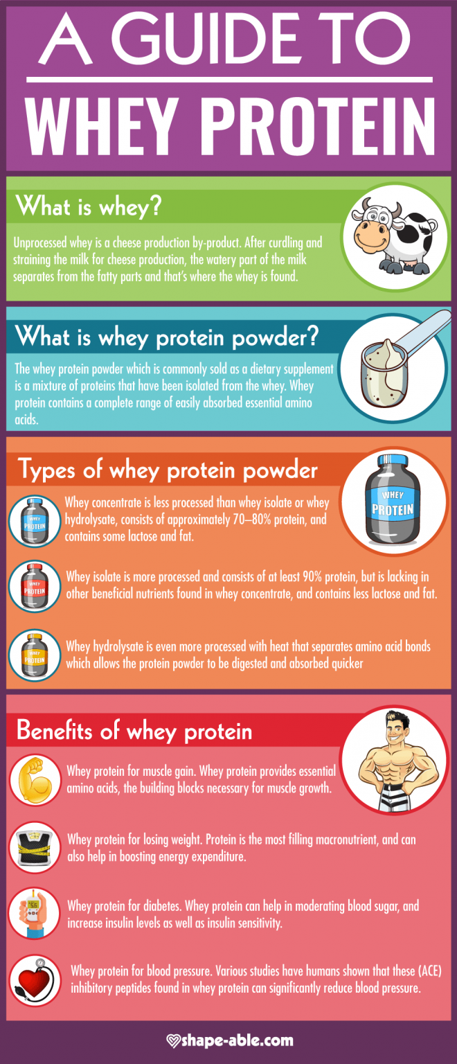 A Guide To Whey Protein [infographic] Best Infographics