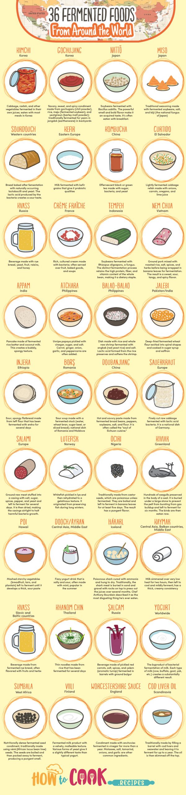 36 Fermented Foods from Around the World - Best Infographics