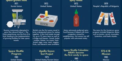What Do Astronauts Eat In Space? [Infographic]