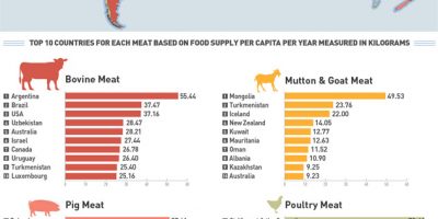 Most Popular Type of Meat In Every Country [Infographic]