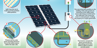 How Do Solar Panels Work? [Infographic]