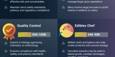 The Cannabis Job Market [Infographic]