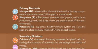 Nutrients Plants Need for Growth [Infographic]