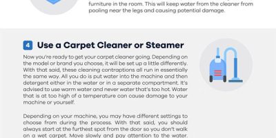10 Steps to DIY Carpet Cleaning [Infographic]