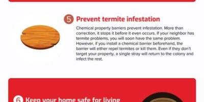 10 Reasons to Get a Termite Barrier [Infographic]