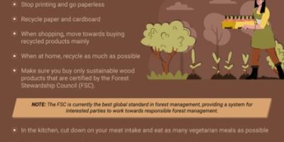How to Stop Deforestation & Protect Our Planet?