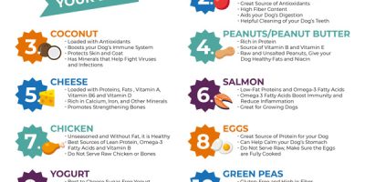 15 Healthiest Human Foods for Dogs [Infographic]